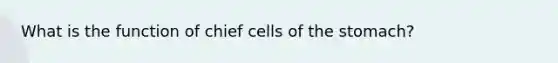 What is the function of chief cells of the stomach?