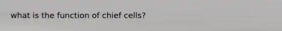 what is the function of chief cells?