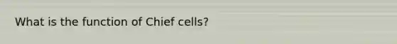 What is the function of Chief cells?