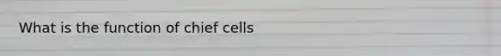 What is the function of chief cells