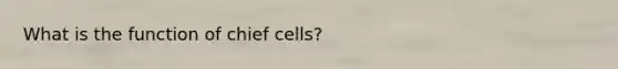 What is the function of chief cells?