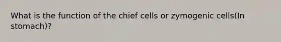 What is the function of the chief cells or zymogenic cells(In stomach)?