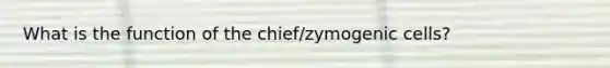 What is the function of the chief/zymogenic cells?