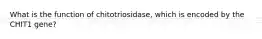 What is the function of chitotriosidase, which is encoded by the CHIT1 gene?