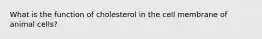 What is the function of cholesterol in the cell membrane of animal cells?