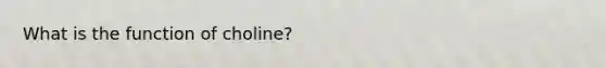 What is the function of choline?