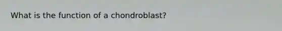 What is the function of a chondroblast?