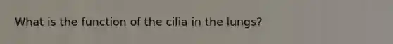 What is the function of the cilia in the lungs?