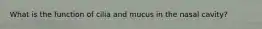 What is the function of cilia and mucus in the nasal cavity?