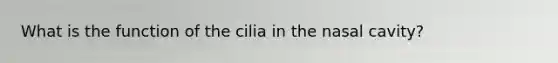 What is the function of the cilia in the nasal cavity?