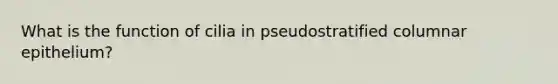 What is the function of cilia in pseudostratified columnar epithelium?