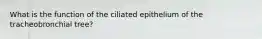 What is the function of the ciliated epithelium of the tracheobronchial tree?