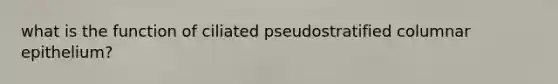 what is the function of ciliated pseudostratified columnar epithelium?