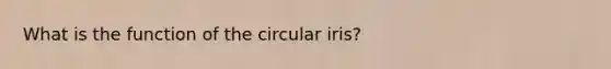 What is the function of the circular iris?