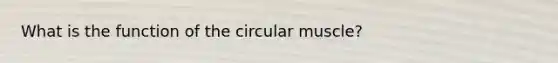 What is the function of the circular muscle?