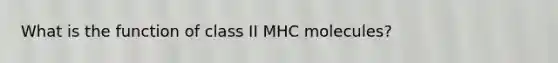 What is the function of class II MHC molecules?