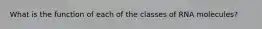 What is the function of each of the classes of RNA molecules?