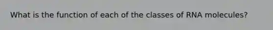 What is the function of each of the classes of RNA molecules?