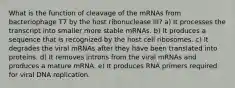 What is the function of cleavage of the mRNAs from bacteriophage T7 by the host ribonuclease III? a) It processes the transcript into smaller more stable mRNAs. b) It produces a sequence that is recognized by the host cell ribosomes. c) It degrades the viral mRNAs after they have been translated into proteins. d) It removes introns from the viral mRNAs and produces a mature mRNA. e) It produces RNA primers required for viral DNA replication.