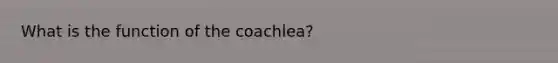 What is the function of the coachlea?