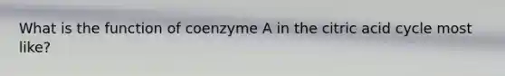 What is the function of coenzyme A in the citric acid cycle most like?