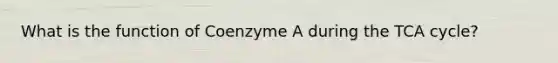 What is the function of Coenzyme A during the TCA cycle?