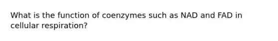 What is the function of coenzymes such as NAD and FAD in cellular respiration?