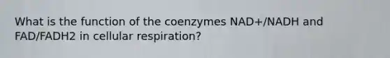 What is the function of the coenzymes NAD+/NADH and FAD/FADH2 in cellular respiration?