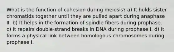 What is the function of cohesion during meiosis? a) It holds sister chromatids together until they are pulled apart during anaphase II. b) It helps in the formation of spindle fibers during prophase. c) It repairs double-strand breaks in DNA during prophase I. d) It forms a physical link between homologous chromosomes during prophase I.