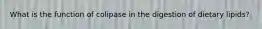 What is the function of colipase in the digestion of dietary lipids?