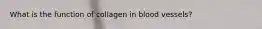 What is the function of collagen in blood vessels?