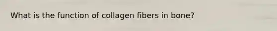 What is the function of collagen fibers in bone?