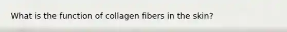 What is the function of collagen fibers in the skin?