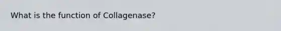 What is the function of Collagenase?