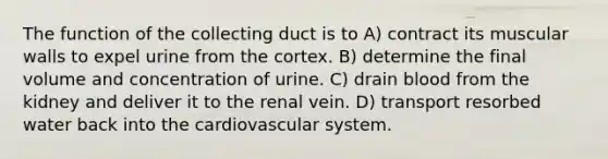 The function of the collecting duct is to A) contract its muscular walls to expel urine from the cortex. B) determine the final volume and concentration of urine. C) drain blood from the kidney and deliver it to the renal vein. D) transport resorbed water back into the cardiovascular system.