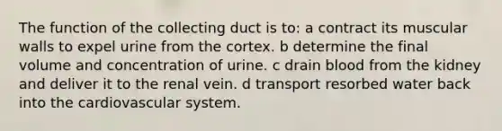 The function of the collecting duct is to: a contract its muscular walls to expel urine from the cortex. b determine the final volume and concentration of urine. c drain blood from the kidney and deliver it to the renal vein. d transport resorbed water back into the cardiovascular system.