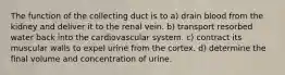 The function of the collecting duct is to a) drain blood from the kidney and deliver it to the renal vein. b) transport resorbed water back into the cardiovascular system. c) contract its muscular walls to expel urine from the cortex. d) determine the final volume and concentration of urine.