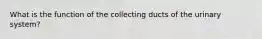 What is the function of the collecting ducts of the urinary system?