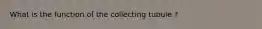 What is the function of the collecting tubule ?