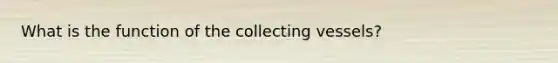 What is the function of the collecting vessels?