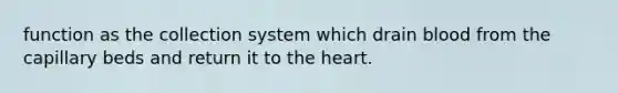 function as the collection system which drain blood from the capillary beds and return it to the heart.