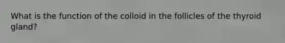 What is the function of the colloid in the follicles of the thyroid gland?