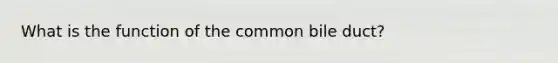 What is the function of the common bile duct?