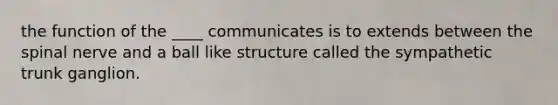 the function of the ____ communicates is to extends between the spinal nerve and a ball like structure called the sympathetic trunk ganglion.