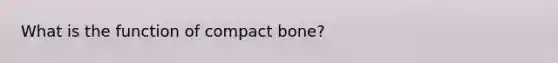 What is the function of compact bone?