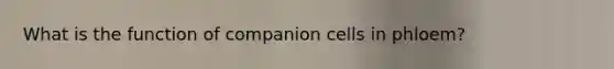 What is the function of companion cells in phloem?