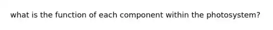 what is the function of each component within the photosystem?