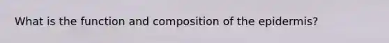 What is the function and composition of the epidermis?