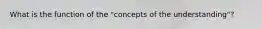 What is the function of the "concepts of the understanding"?