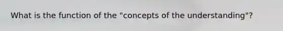 What is the function of the "concepts of the understanding"?